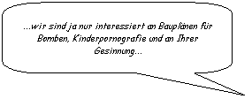 Abgerundete rechteckige Legende: ...wir sind ja nur interessiert an Bauplänen für Bomben, Kinderpornografie und an Ihrer Gesinnung...